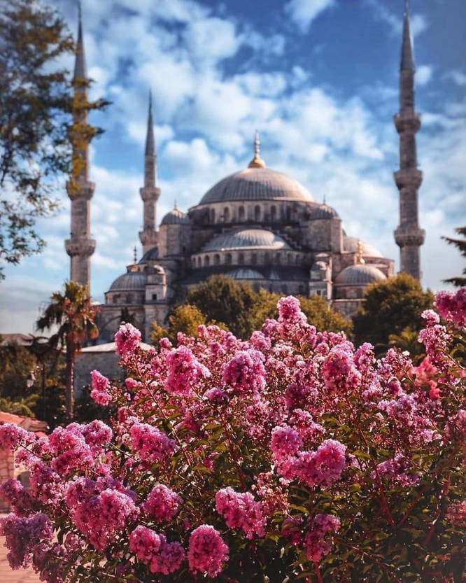Открывая Стамбул — обзорная прогулка по столице Османов